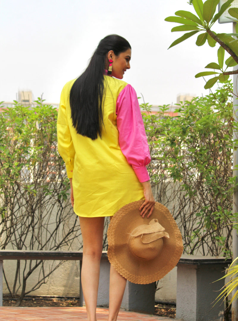 Two Tone Shirt Dress