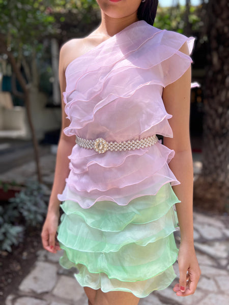 Ombre Organza Ruffle Dress